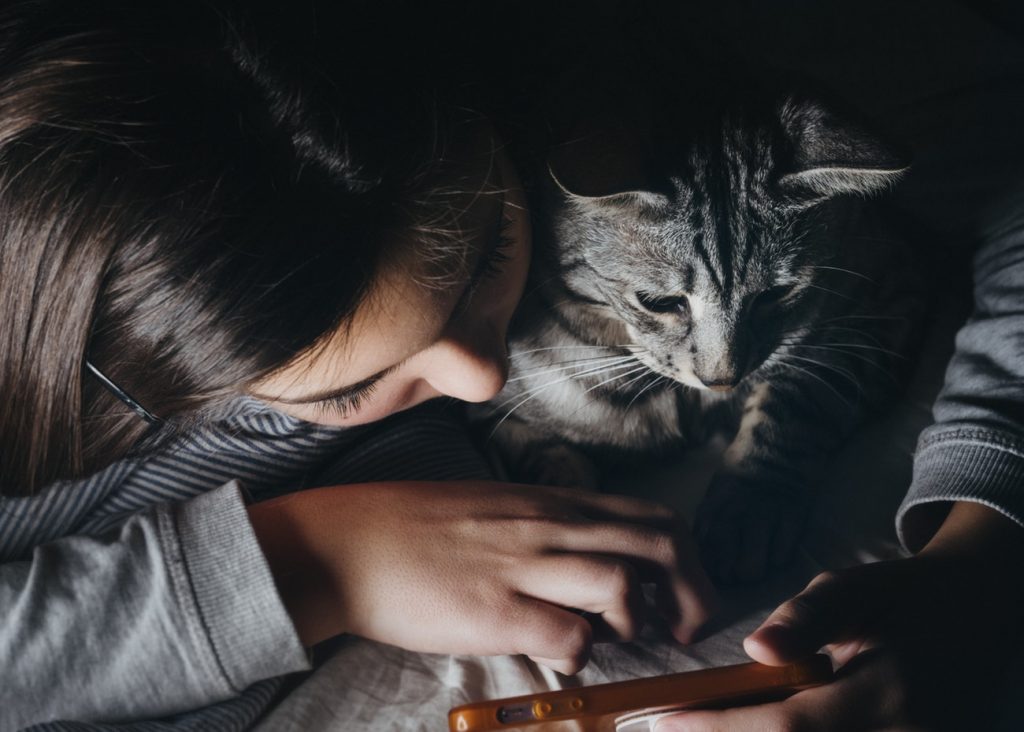 Fillette qui joue sur son portable avec un chat dans les bras